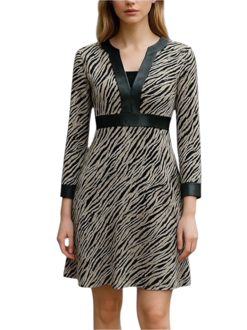 Tyler Boe Black White Zebra Print WhimsiGoth EuroGirl Dress NWT Size S